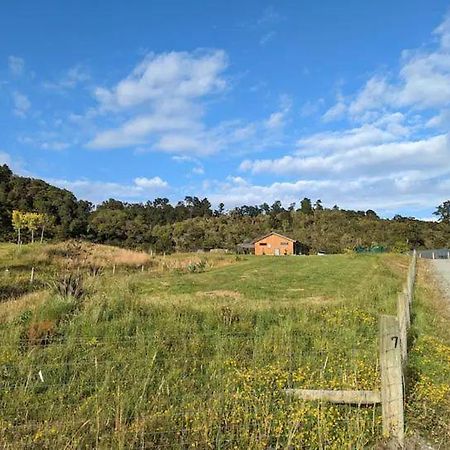 Enchanted Retreat In Greymouth Shared With Host Εξωτερικό φωτογραφία